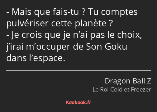 Mais que fais-tu ? Tu comptes pulvériser cette planète ? Je crois que je n’ai pas le choix, j’irai…