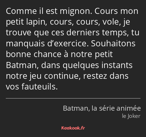 Comme il est mignon. Cours mon petit lapin, cours, cours, vole, je trouve que ces derniers temps…