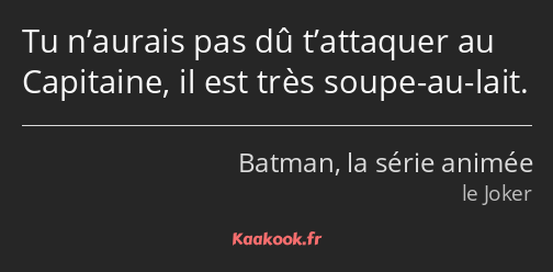 Tu n’aurais pas dû t’attaquer au Capitaine, il est très soupe-au-lait.