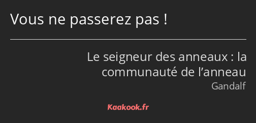 Vous ne passerez pas !