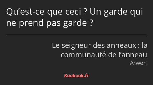 Qu’est-ce que ceci ? Un garde qui ne prend pas garde ?