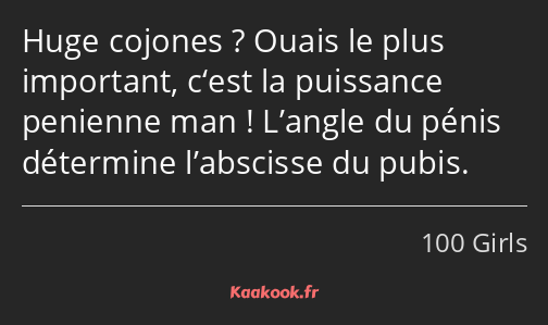 Huge cojones ? Ouais le plus important, c‘est la puissance penienne man ! L’angle du pénis…