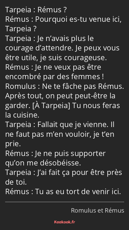 Rémus ? Pourquoi es-tu venue ici, Tarpeia ? Je n’avais plus le courage d’attendre. Je peux vous…