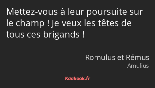 Mettez-vous à leur poursuite sur le champ ! Je veux les têtes de tous ces brigands !