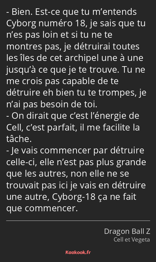 Bien. Est-ce que tu m’entends Cyborg numéro 18, je sais que tu n’es pas loin et si tu ne te montres…