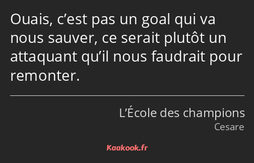 Ouais, c’est pas un goal qui va nous sauver, ce serait plutôt un attaquant qu’il nous faudrait pour…