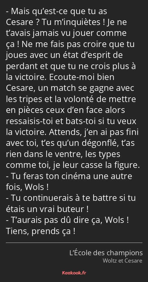 Mais qu’est-ce que tu as Cesare ? Tu m’inquiètes ! Je ne t’avais jamais vu jouer comme ça ! Ne me…