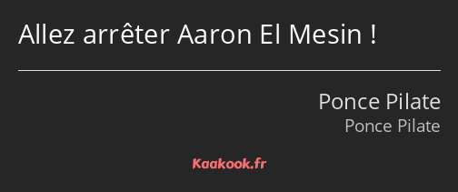 Allez arrêter Aaron El Mesin !