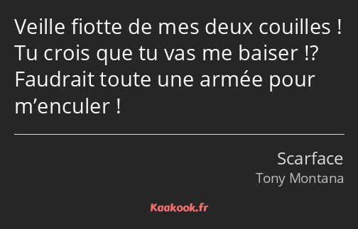 Veille fiotte de mes deux couilles ! Tu crois que tu vas me baiser !? Faudrait toute une armée pour…