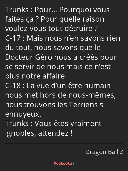 Pour… Pourquoi vous faites ça ? Pour quelle raison voulez-vous tout détruire ? Mais nous n’en…