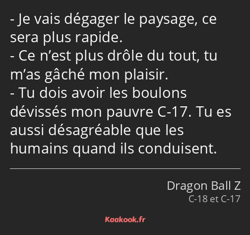 Je vais dégager le paysage, ce sera plus rapide. Ce n’est plus drôle du tout, tu m’as gâché mon…