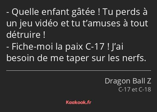 Quelle enfant gâtée ! Tu perds à un jeu vidéo et tu t’amuses à tout détruire ! Fiche-moi la paix C…