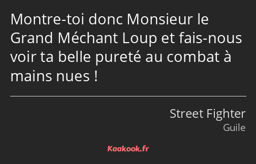 Montre-toi donc Monsieur le Grand Méchant Loup et fais-nous voir ta belle pureté au combat à mains…