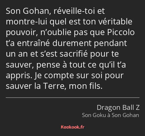 Son Gohan, réveille-toi et montre-lui quel est ton véritable pouvoir, n’oublie pas que Piccolo t’a…