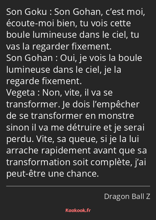 Son Gohan, c’est moi, écoute-moi bien, tu vois cette boule lumineuse dans le ciel, tu vas la…