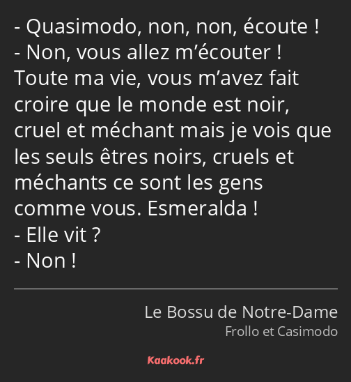 Quasimodo, non, non, écoute ! Non, vous allez m’écouter ! Toute ma vie, vous m’avez fait croire que…