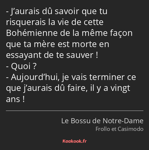 J’aurais dû savoir que tu risquerais la vie de cette Bohémienne de la même façon que ta mère est…