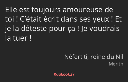 Elle est toujours amoureuse de toi ! C’était écrit dans ses yeux ! Et je la déteste pour ça ! Je…