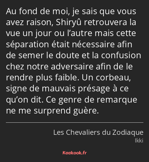 Au fond de moi, je sais que vous avez raison, Shiryû retrouvera la vue un jour ou l’autre mais…