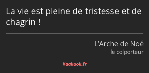 La vie est pleine de tristesse et de chagrin !