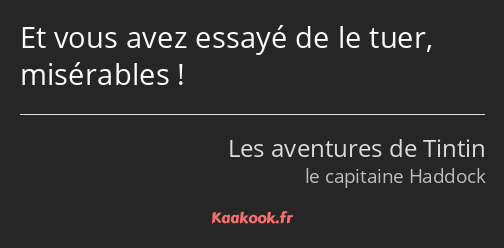 Et vous avez essayé de le tuer, misérables !