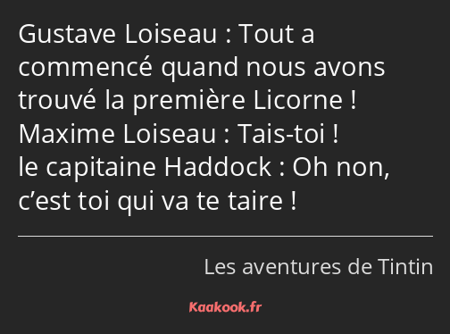 Tout a commencé quand nous avons trouvé la première Licorne ! Tais-toi ! Oh non, c’est toi qui va…