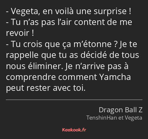 Vegeta, en voilà une surprise ! Tu n’as pas l’air content de me revoir ! Tu crois que ça m’étonne…