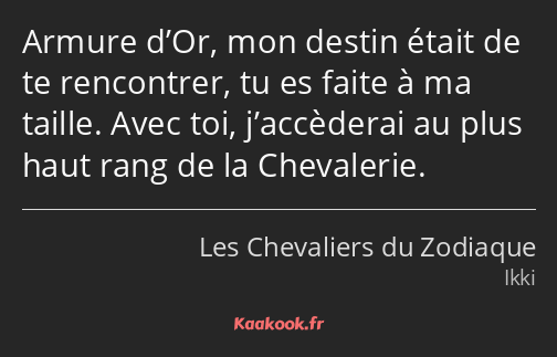 Armure d’Or, mon destin était de te rencontrer, tu es faite à ma taille. Avec toi, j’accèderai au…