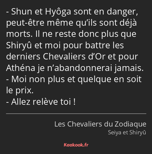 Shun et Hyôga sont en danger, peut-être même qu’ils sont déjà morts. Il ne reste donc plus que…