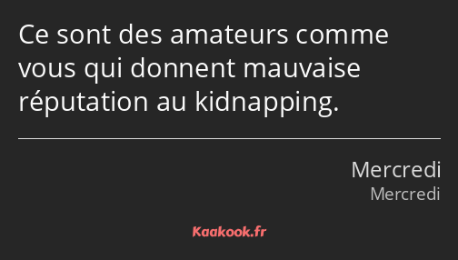 Ce sont des amateurs comme vous qui donnent mauvaise réputation au kidnapping.