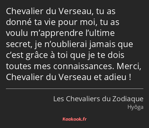 Chevalier du Verseau, tu as donné ta vie pour moi, tu as voulu m’apprendre l’ultime secret, je…