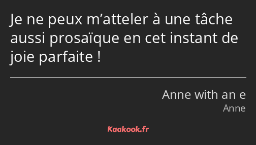 Je ne peux m’atteler à une tâche aussi prosaïque en cet instant de joie parfaite !