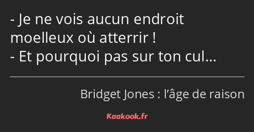 Je ne vois aucun endroit moelleux où atterrir ! Et pourquoi pas sur ton cul…