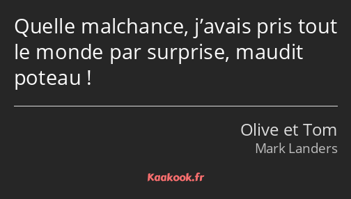 Quelle malchance, j’avais pris tout le monde par surprise, maudit poteau !