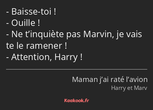 Baisse-toi ! Ouille ! Ne t’inquiète pas Marvin, je vais te le ramener ! Attention, Harry !