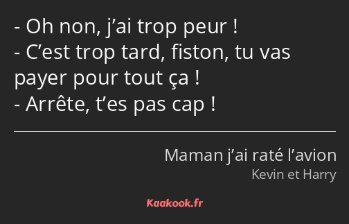 Oh non, j’ai trop peur ! C’est trop tard, fiston, tu vas payer pour tout ça ! Arrête, t’es pas cap !