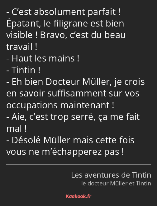 C’est absolument parfait ! Épatant, le filigrane est bien visible ! Bravo, c’est du beau travail…