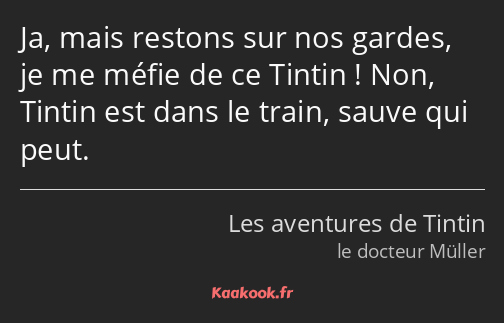 Ja, mais restons sur nos gardes, je me méfie de ce Tintin ! Non, Tintin est dans le train, sauve…