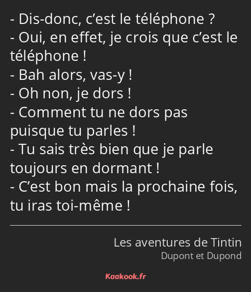 Dis-donc, c’est le téléphone ? Oui, en effet, je crois que c’est le téléphone ! Bah alors, vas-y…