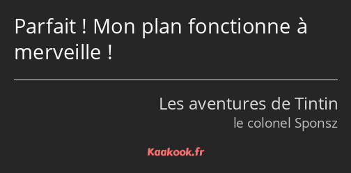 Parfait ! Mon plan fonctionne à merveille !