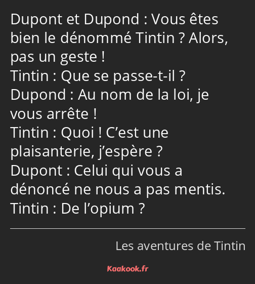 Vous êtes bien le dénommé Tintin ? Alors, pas un geste ! Que se passe-t-il ? Au nom de la loi, je…