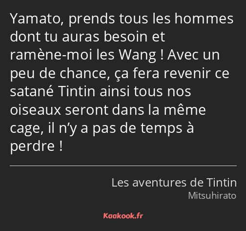 Yamato, prends tous les hommes dont tu auras besoin et ramène-moi les Wang ! Avec un peu de chance…