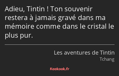 Adieu, Tintin ! Ton souvenir restera à jamais gravé dans ma mémoire comme dans le cristal le plus…