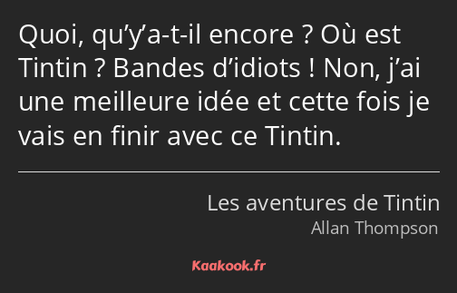 Quoi, qu’y’a-t-il encore ? Où est Tintin ? Bandes d’idiots ! Non, j’ai une meilleure idée et cette…