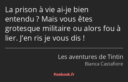 La prison à vie ai-je bien entendu ? Mais vous êtes grotesque militaire ou alors fou à lier. J’en…