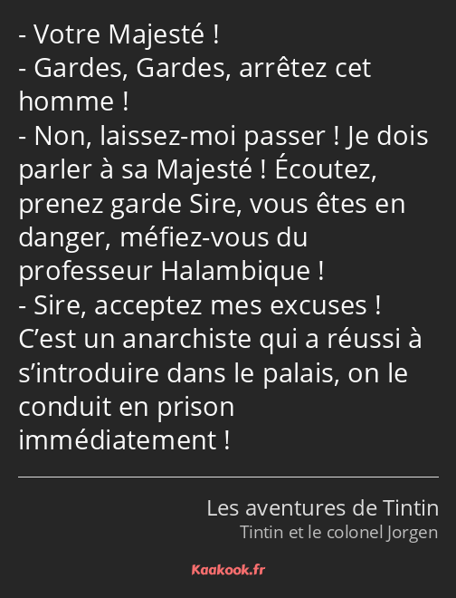 Votre Majesté ! Gardes, Gardes, arrêtez cet homme ! Non, laissez-moi passer ! Je dois parler à sa…