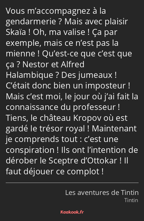 Vous m’accompagnez à la gendarmerie ? Mais avec plaisir Skaïa ! Oh, ma valise ! Ça par exemple…