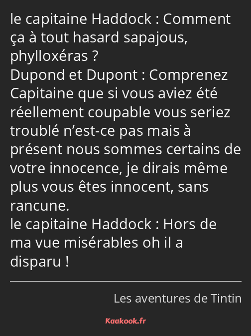 Comment ça à tout hasard sapajous, phylloxéras ? Comprenez Capitaine que si vous aviez été…