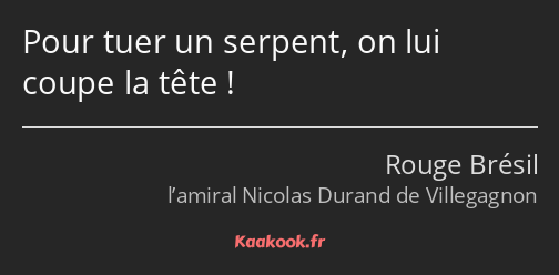 Pour tuer un serpent, on lui coupe la tête !