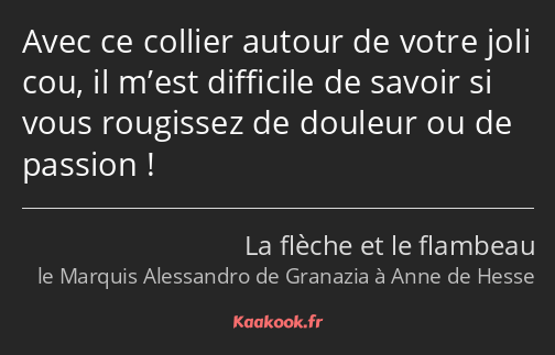 Avec ce collier autour de votre joli cou, il m’est difficile de savoir si vous rougissez de douleur…